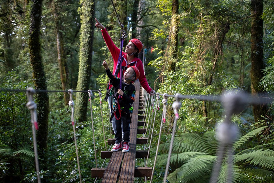 Rotorua Original Canopy Tour