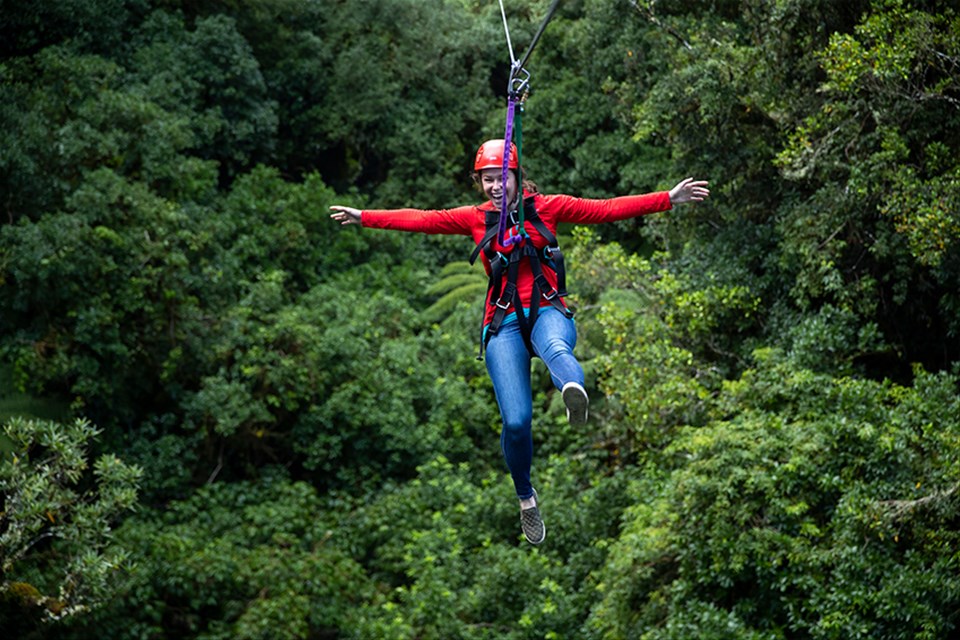 Rotorua Ultimate Canopy Tour