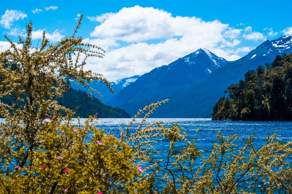 Cycling the Lake District of Chile & Argentina