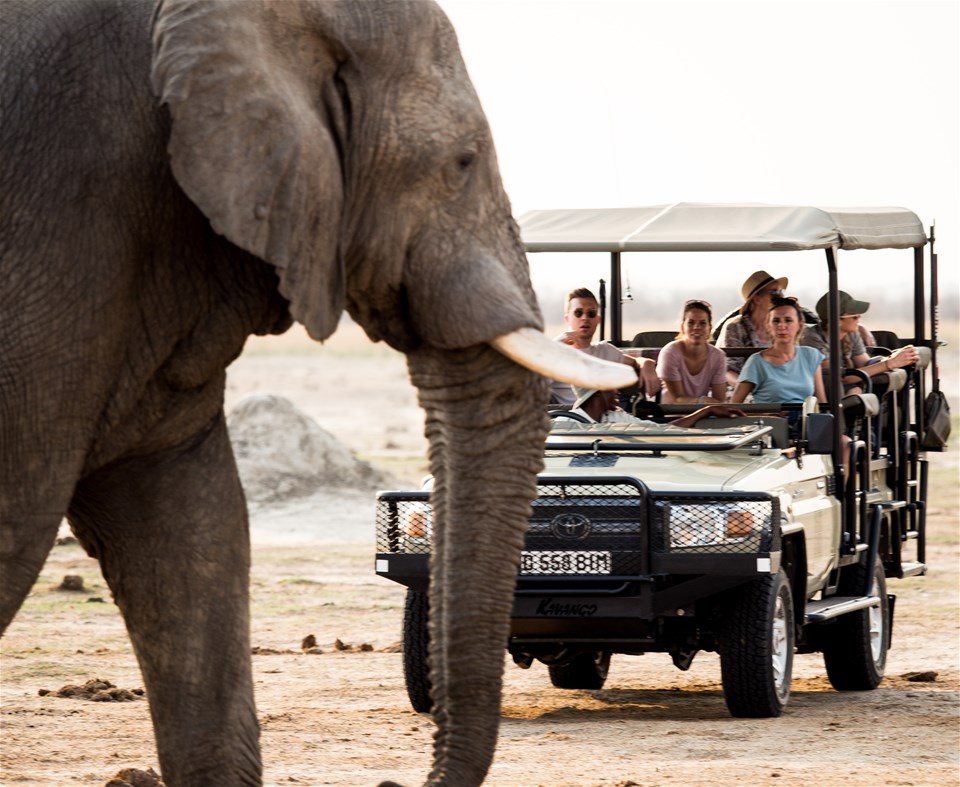 botswana safari trailfinders