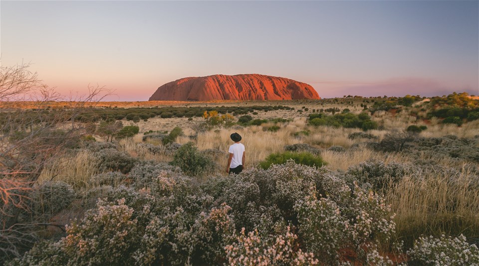 Whimit Through The Red Centre