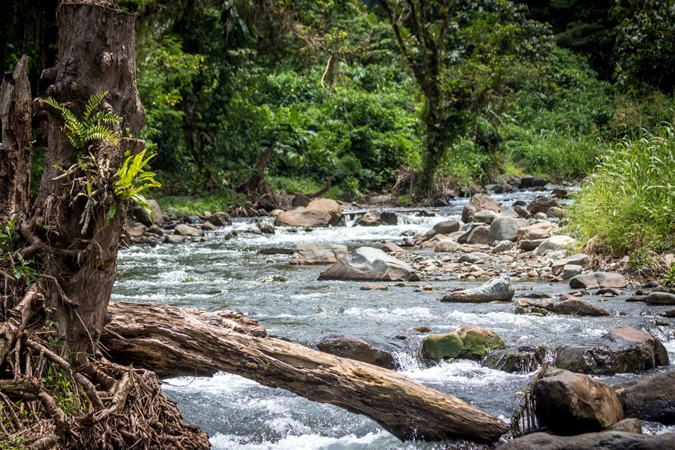 Papua New Guinea