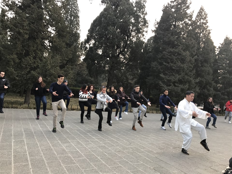 Tai Chi: a traditional martial art practice