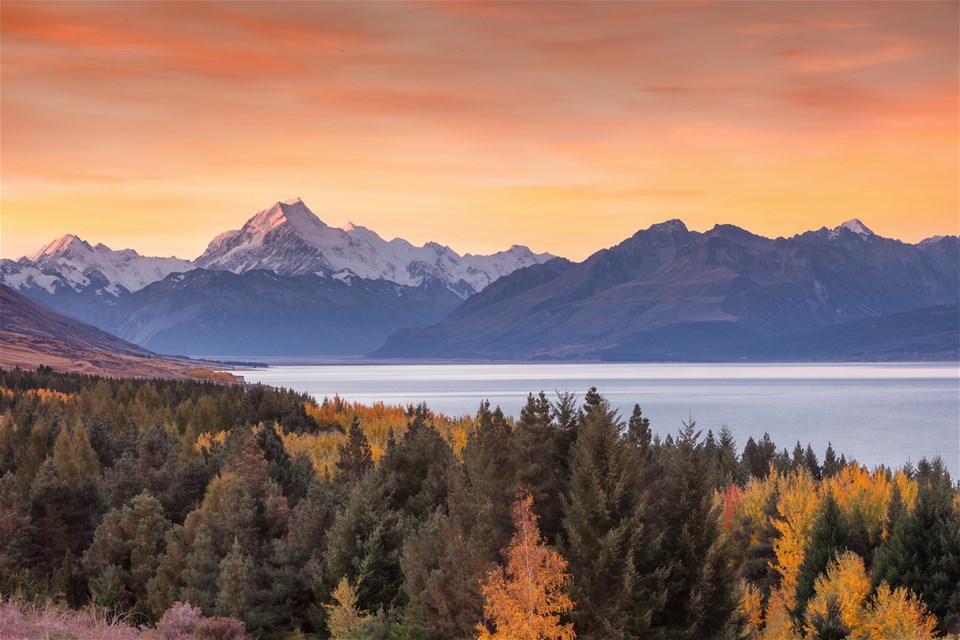 Unique & Boutique New Zealand - Honeymoon