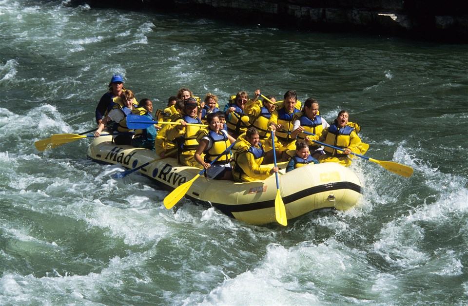 Jackson Hole Whitewater Rafting