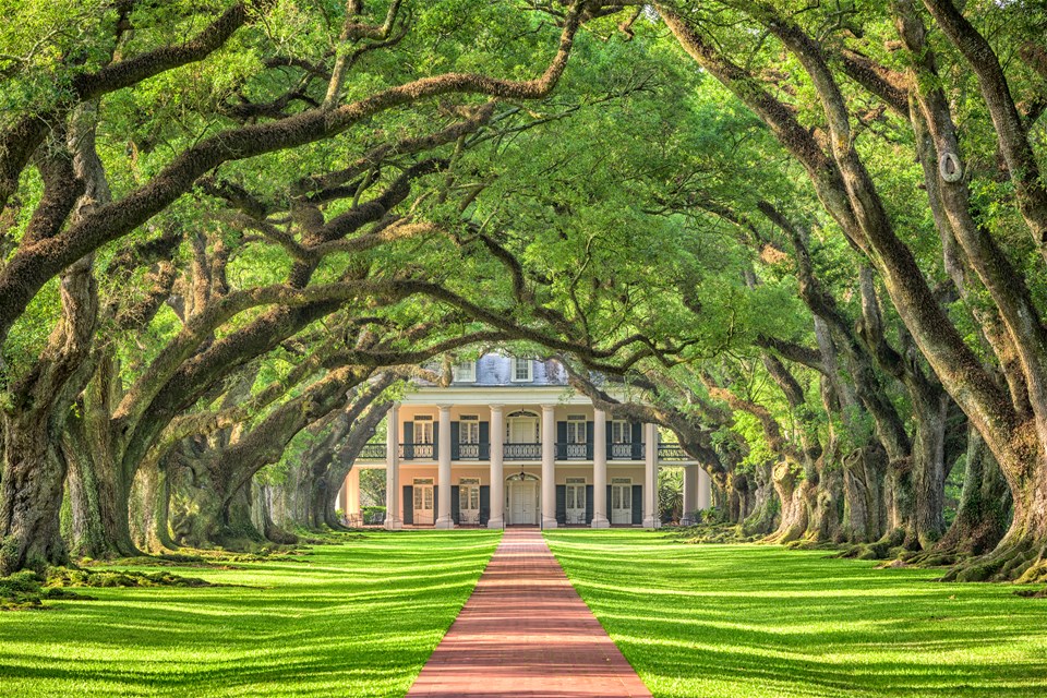 Oak Alley Plantation