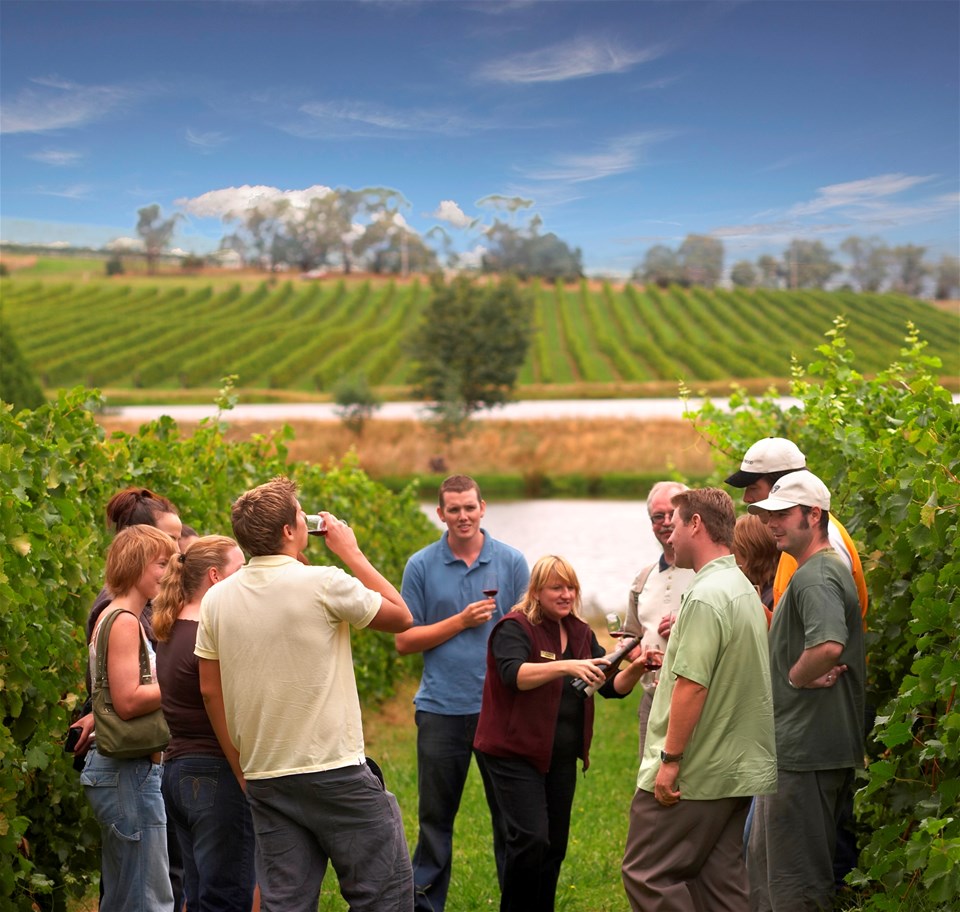 Yarra Valley Wine Experience