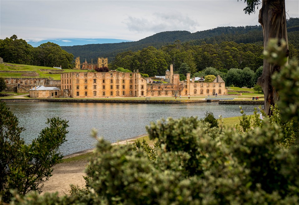 Tasman Island Cruise & Port Arthur Heritage Tour