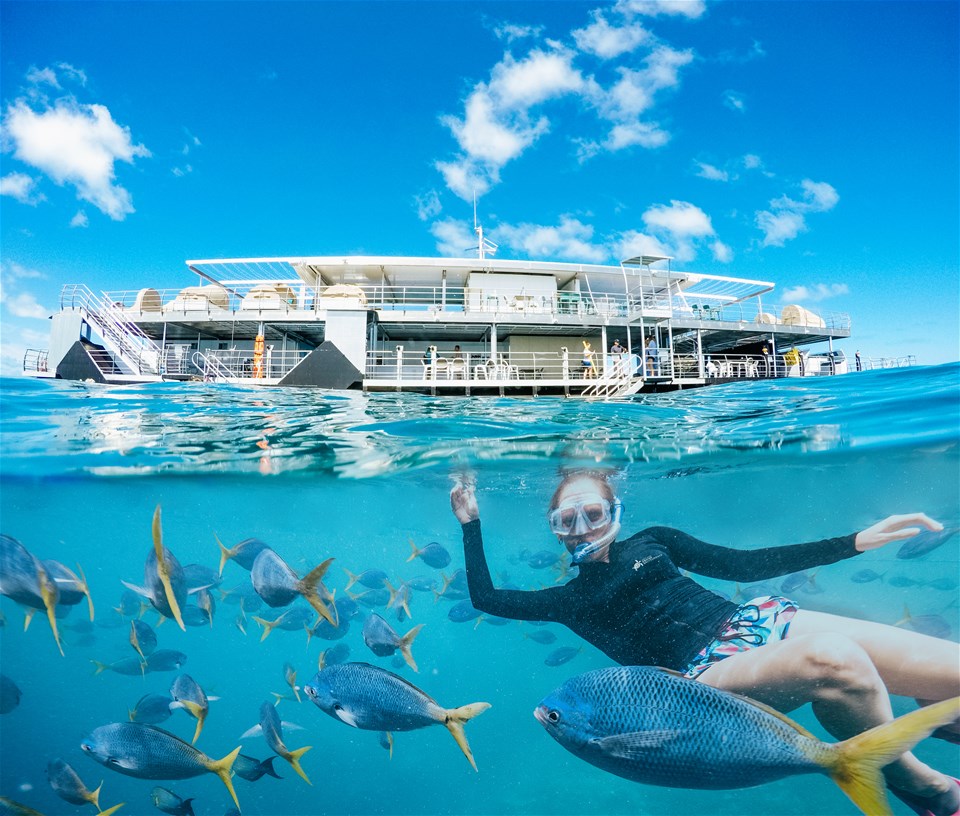 Barrier Reef Adventure