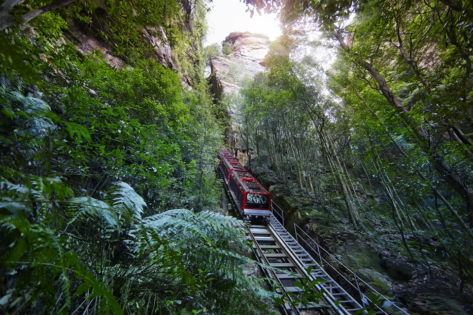 Scenic World Ultimate Discovery Pass