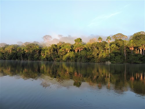 Madidi National Park