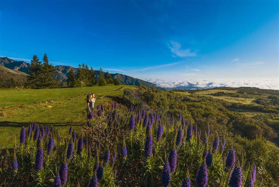 Walking the Island of Madeira