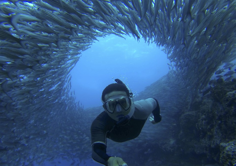 Galapagos Adventure: Snorkelling & Sea Lions