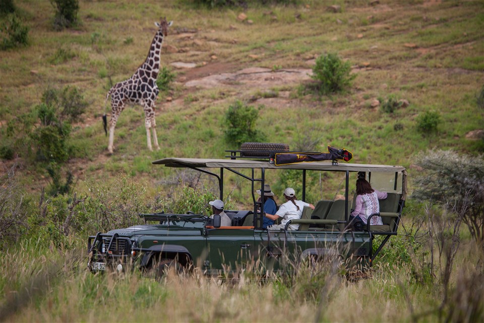 Luxury Kenya SkySafari with Elewana (8 days)