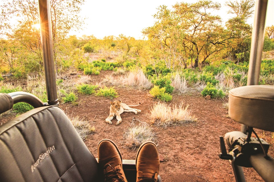 Learn to be a Safari Guide in Kruger National Park