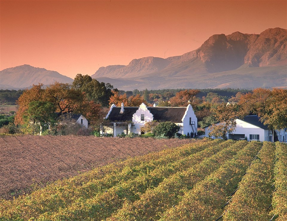 Cape Winelands Tour