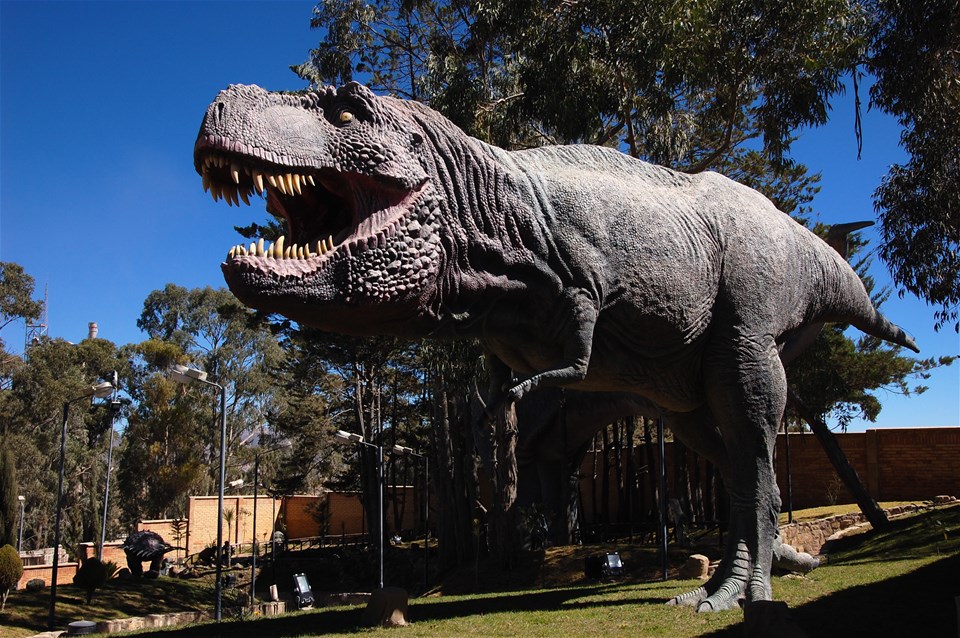 Walk in the Footprints of Dinosaurs at Sucre's Dinosaur Park