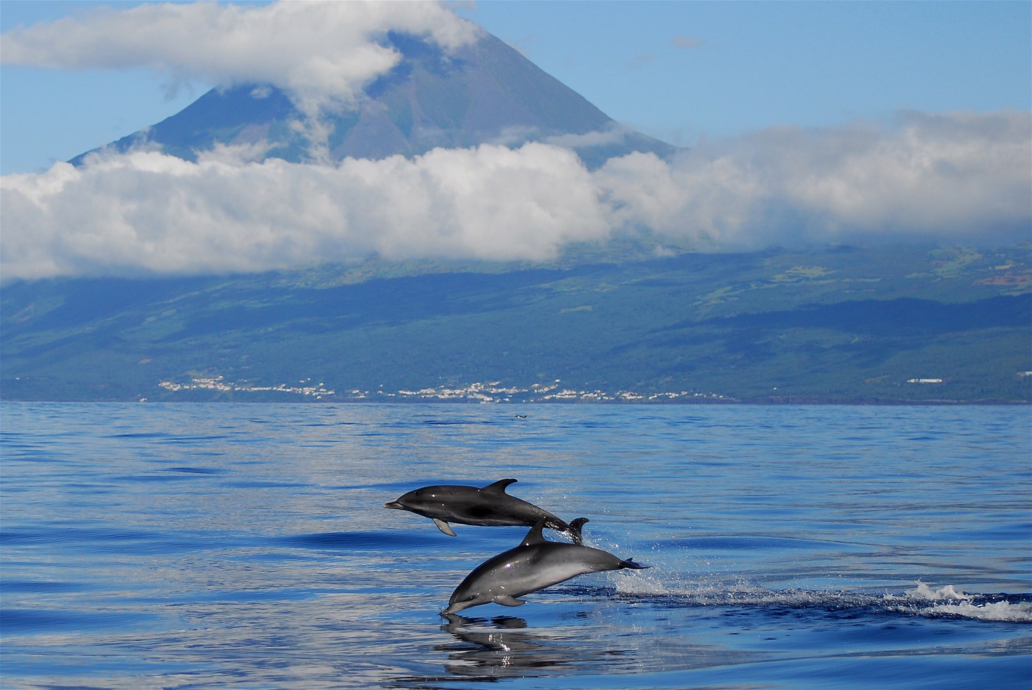 The Azores