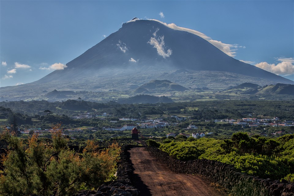 Pico Island Day Tour