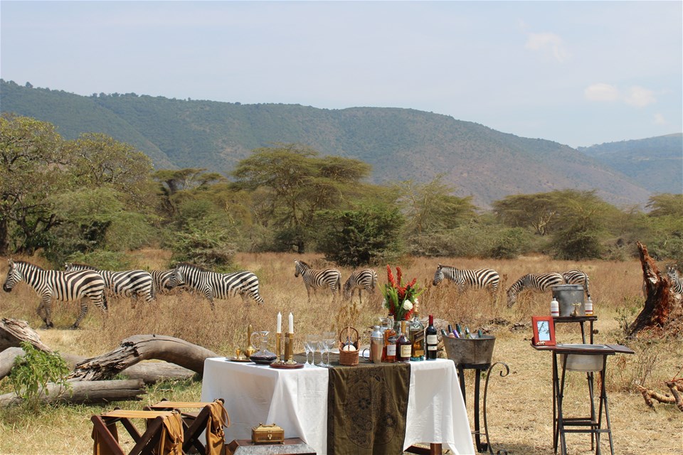 Luxury Tanzania SkySafari with Elewana - 10 days