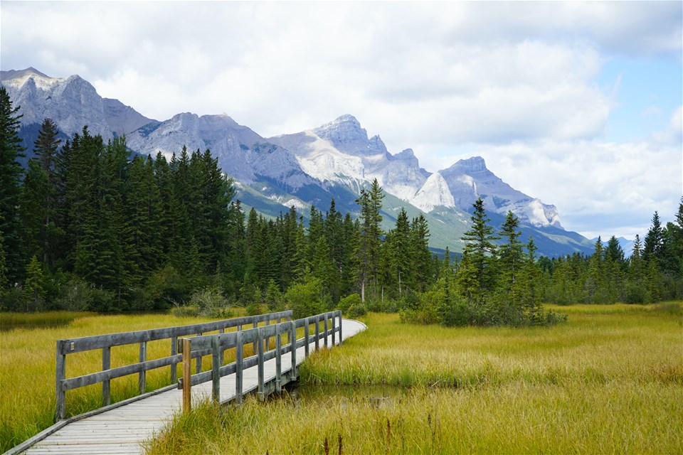 Canmore Wilderness Walk