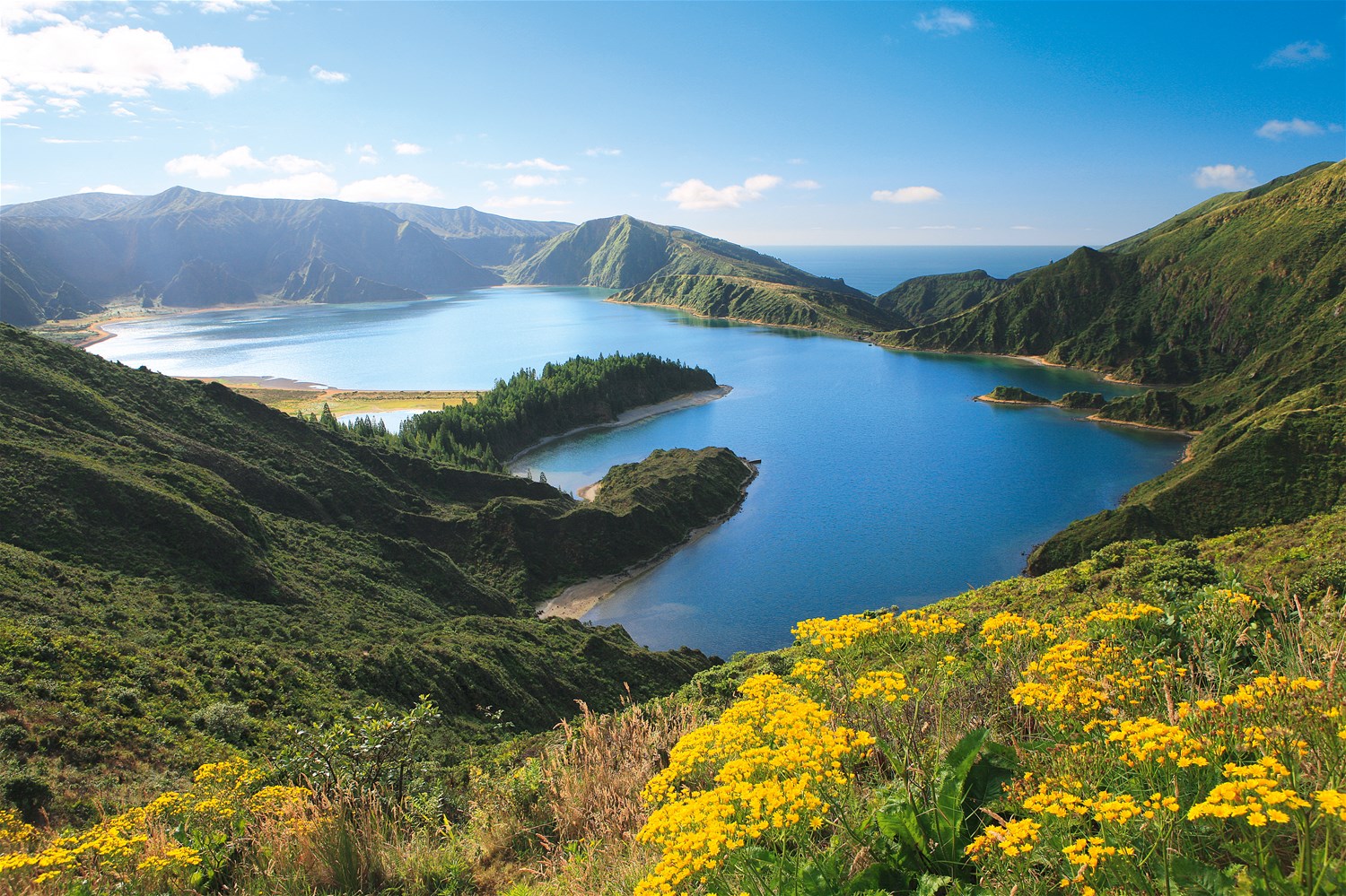 The Azores