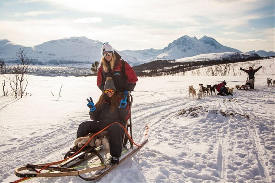 Husky Sledding Adventure from Tromso