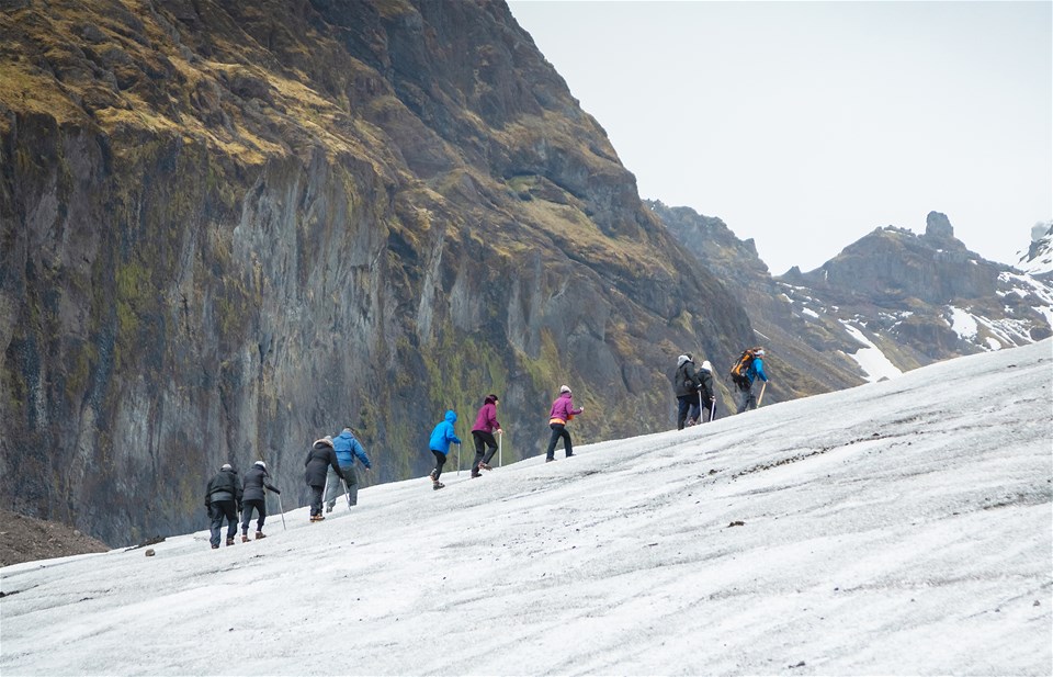 Glacier Wonders Guided Hike