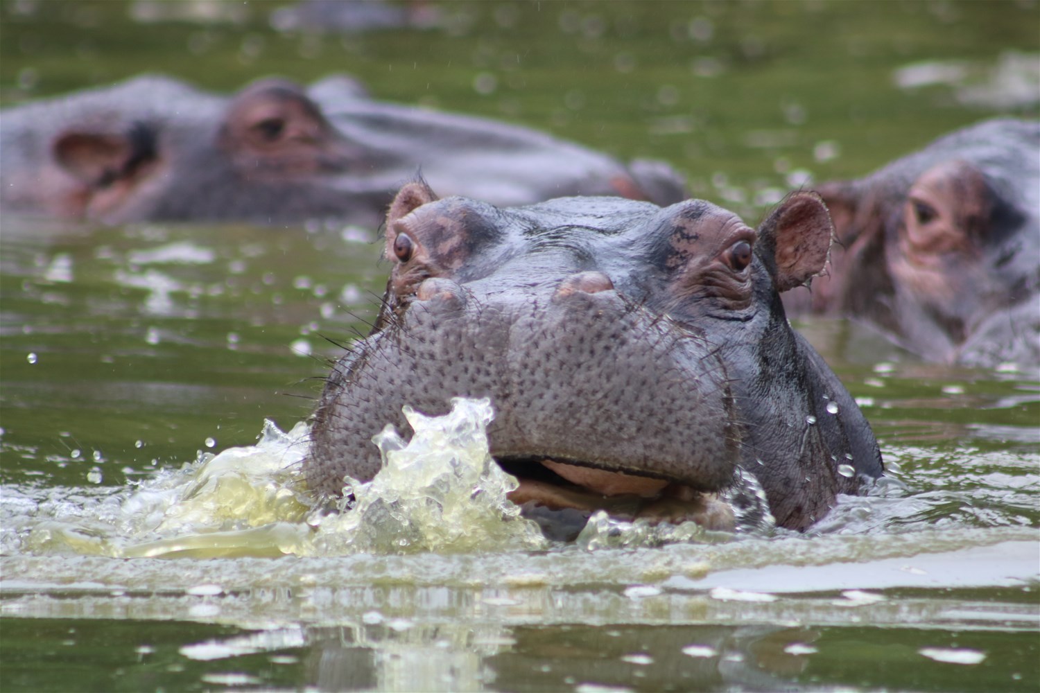 Lake Mburo National Park