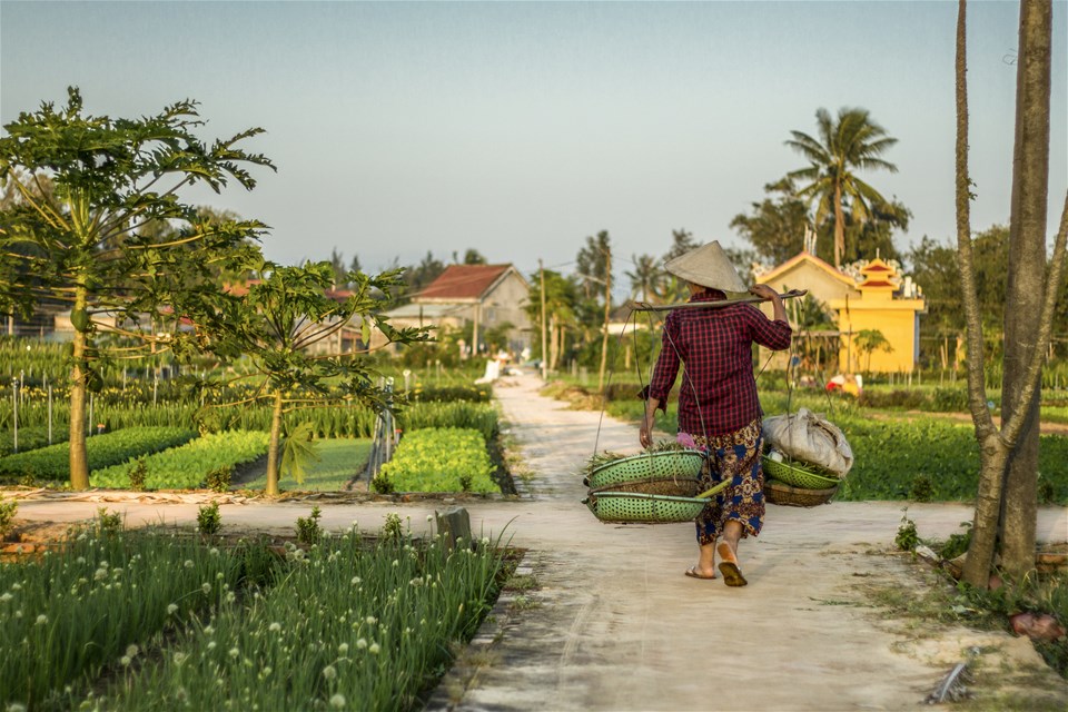 Vietnam From Top to Toe