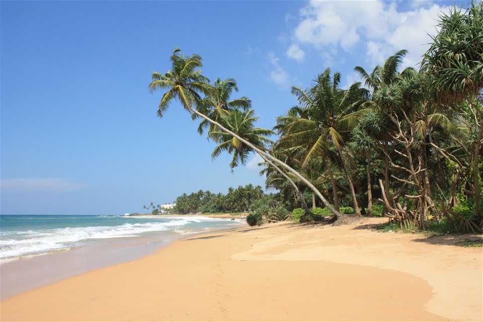 Classic Sri Lanka with Elephants, Rainforest & Beach