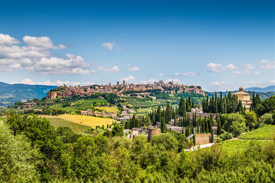 Italy: Tuscany and Umbria Vineyard Walks