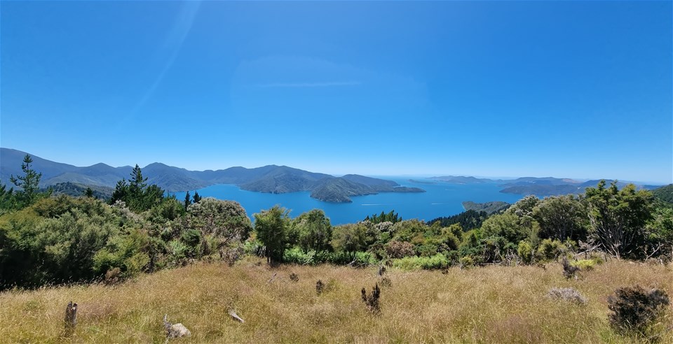 Walk the Queen Charlotte Track