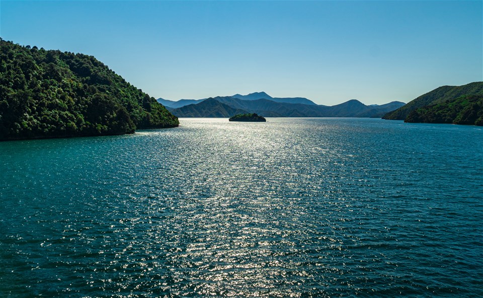 Bluebridge Ferry