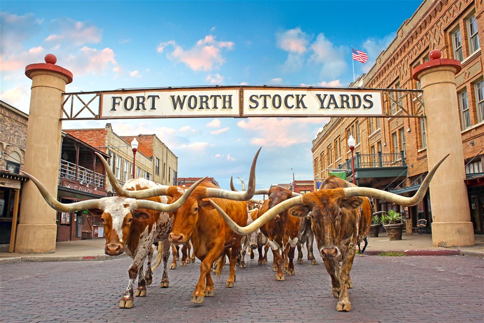 Texas by Rail