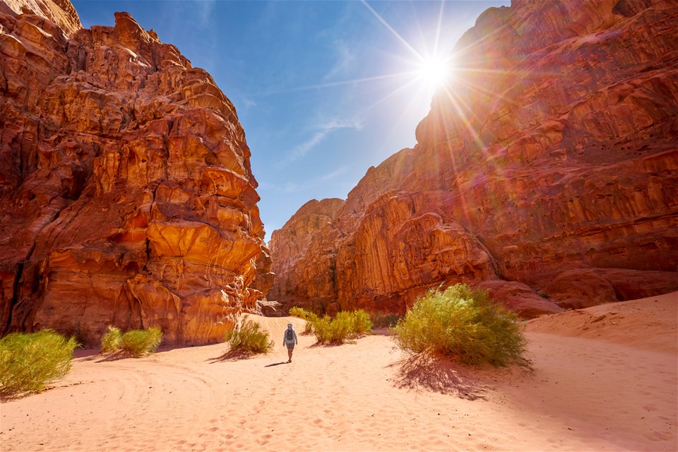 Petra & Wadi Rum Trek