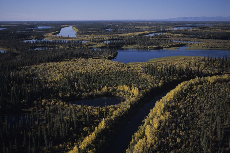 Mackenzie Delta Boat Tour