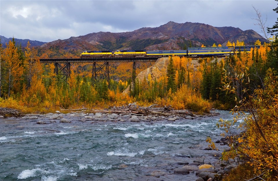 Denali Highlights