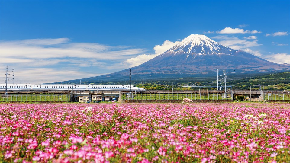 Majestic Japan