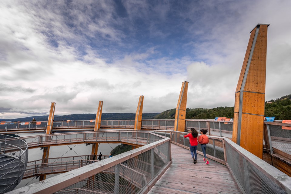 Malahat SkyWalk Admission