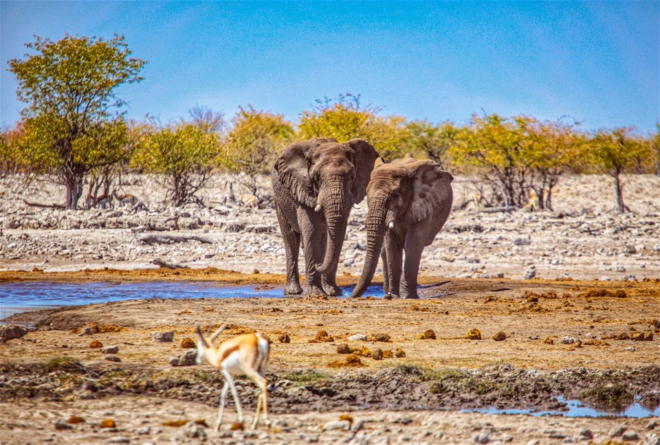 Gems of Namibia