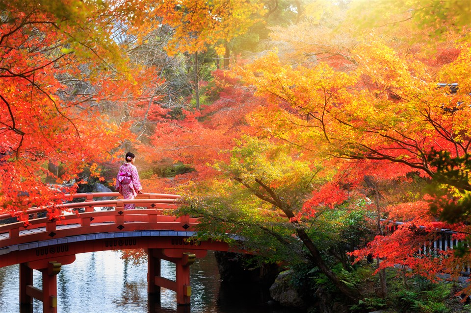 Cycling in Japan