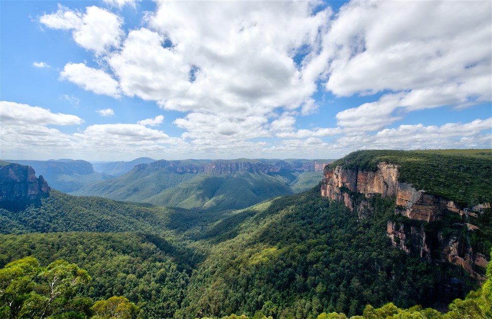 Blue Mountains Discovery Bush Walk