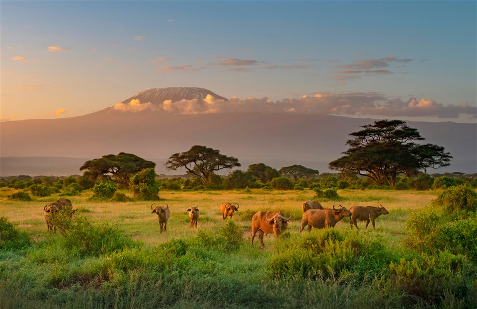 Kenya Classic Safari & Mombasa