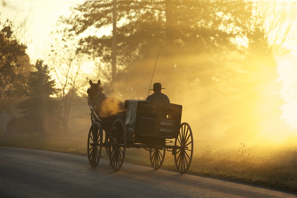 Pittsburgh To Philadelphia - Arts, Liberty & The Amish