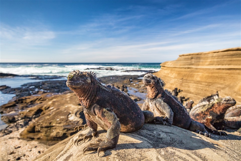 Galapagos Explorer