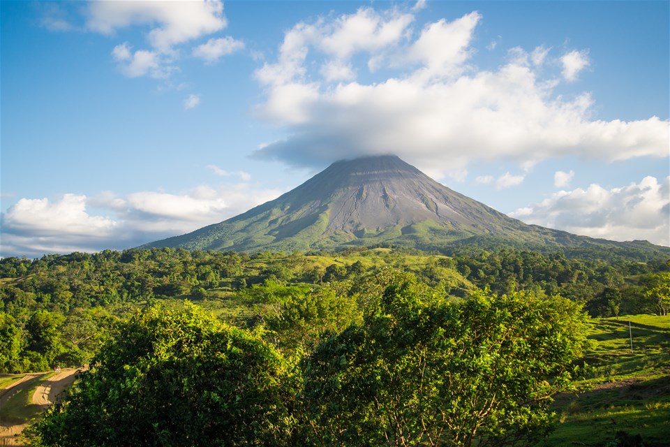 Wild Costa Rica