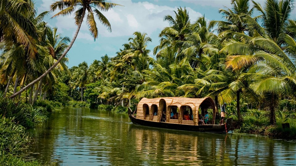 Kerala and the Southern Highlights