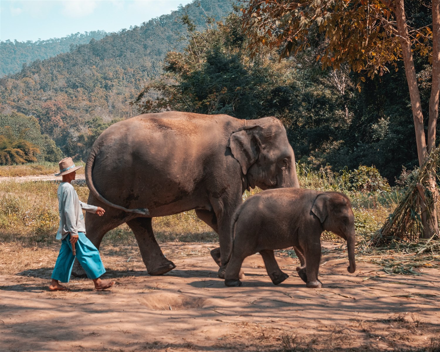 Vietnam, Cambodia & Thailand