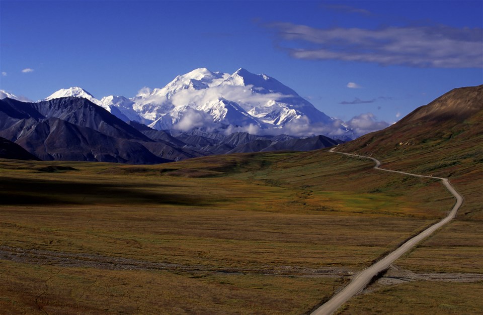 Denali Natural History Tour